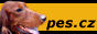 PES.cz
